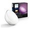 Philips Hue Go
