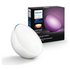 Philips Hue Go