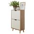 Stockholm Two Tier Shoe Cabinet - Two Tone