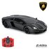 Lamborghini Aventador Remote Control Car 1:24 Black 2.4Ghz