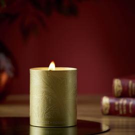 Habitat x Morris & Co. Oak & Fallen Acorn Single Candle