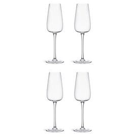 Habitat Apple Set of 4 Champagne Flutes