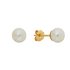 Revere 9ct Yellow Gold 5mm Cultured Pearl June Stud Earrings