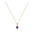 Revere 9ct Gold Amethyst 5mm Pendant 16 Inch Necklace