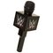 WWE Microphone