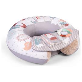 Red Kite Sit Me Up Woodland Walks