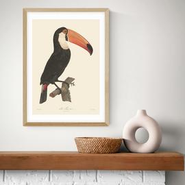 East End Prints Toucan Art Print