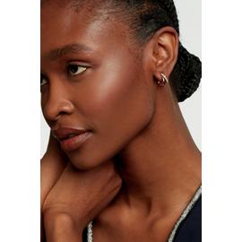Ted Baker Rose Gold Plated Double Hoop Earrings