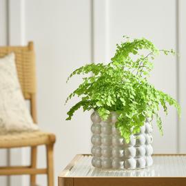 Habitat Bobble Large Planter- Grey