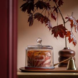 Habitat x Morris & Co. Oak & Fallen Acorn Large Glass Candle