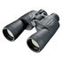 Olympus DPS-I 10x50 Binoculars