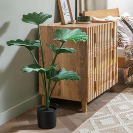 Habitat Artificial Green Licuala Palm Plant - 58cm