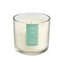 Sainsbury's Home Large Candle - Wild Cotton & Ylang