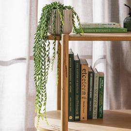 Habitat Artificial Green Succulent in Cream Ceramic Pot