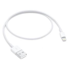 Apple Lightning to USB 0.5m Cable