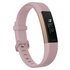 Fitbit Special Edition Alta HR Small Wristband - Rose Gold