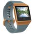 Fitbit Ionic Smartwatch - Blue & Orange