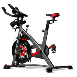 Schwinn 800IC Upright Exercise Bike