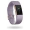 Fitbit Special Edition Charge 2 Small Wristband - Rose Gold