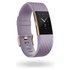 Fitbit Special Edition Charge 2 Band Rose Gold - Large