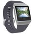 Fitbit Ionic Smart Watch - Grey & White