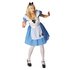 Alice in Wonderland Adult's Fancy Dress Costume - One Size