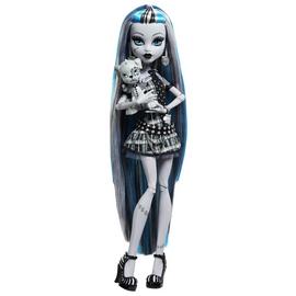Monster High Reel Drama Frankie Stein Collector Doll