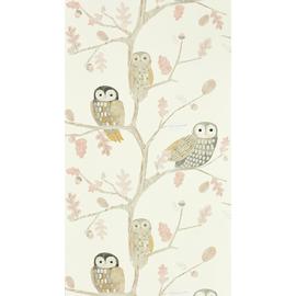 Harlequin Kids Little Owls Kiwi Cream Wallpaper
