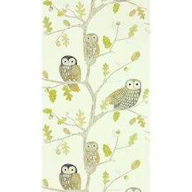 Harlequin Kids Little Owls Powder Cream Wallpaper