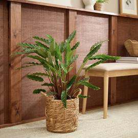 Habitat Small Rattan Handle Planter - Natural