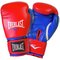 Everlast 14oz Boxing Gloves