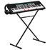 Casio LK-136AD Keyboard with Stand and Headphones
