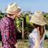 Vineyard Tour & Lunch Gift Experience