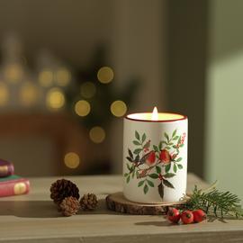 Argos Home Robin Medium Ceramic Candle - Christmas Spice