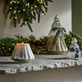 Habitat Tree Shaped Small Boxed Candle - Under the Mistletoe