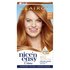 Clairol Nicen Easy Hair Dye Golden Auburn 8WR