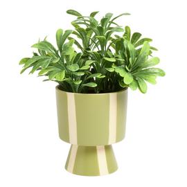 Argos Home Artificial Green Plant in Green Ceramic Pot