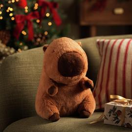 Argos Home Brown Soft Capybara Plush