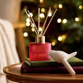 Argos Home 90ml Robin Diffuser - Christmas Spice