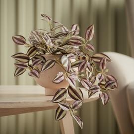 Argos Home Artificial Brown Trailing Plant in Ceramic Pot