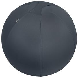 Leitz Ergo Cosy Active Sitting Ball - 75cm