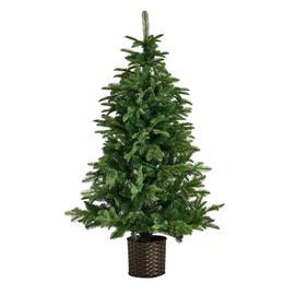 Habitat 5ft Premium Potted Artificial Christmas Tree