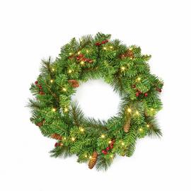 Premier Prelit 50 Warm White LEDs Everyday Christmas Wreath