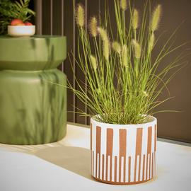 Habitat Terracotta Glaze Ceramic Orange Planter – Single