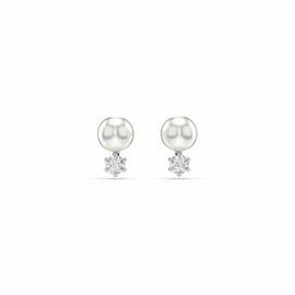Swarovski Rhodium Plated Crystal Pearl Matrix Stud Earrings
