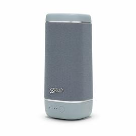 Roberts Reunion Portable Bluetooth Speaker - Duck Egg