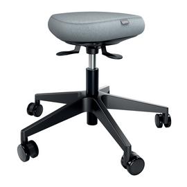 Leitz Ergo Active Sitting Stool Wobble Seat