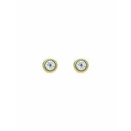 Ted Baker Sinee Gold Tone Plated Crystal Round Stud Earrings