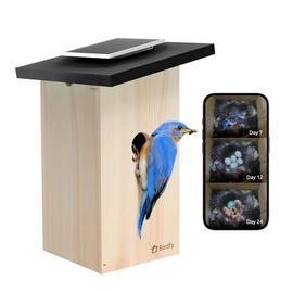 Birdfy Ebony Lite Smart Bird House with Camera