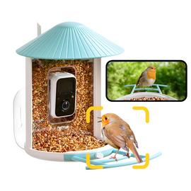 Birdfy AI Bird Feeder Solar Powered with Camera